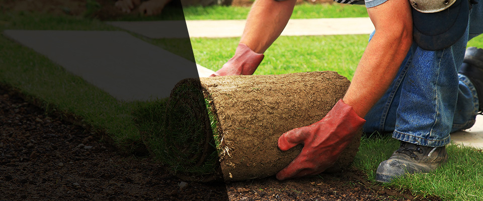 Central Point Landscapers